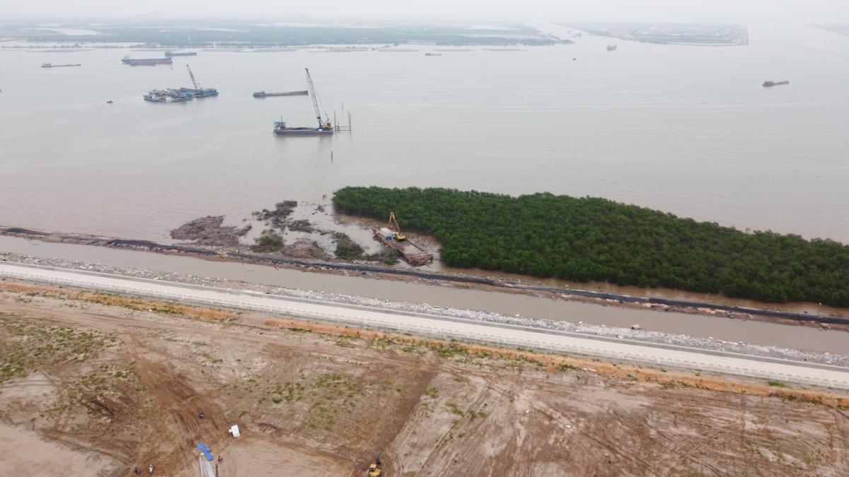 碼頭開始打樁及清除引橋障礙物